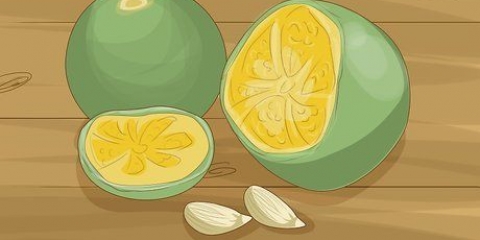 Plantas de calamondina