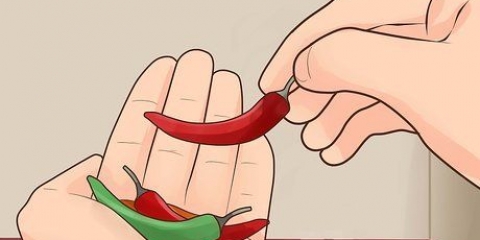 Cultivo de pimenta