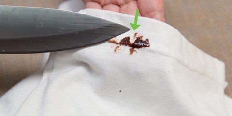 Remova manchas de chocolate