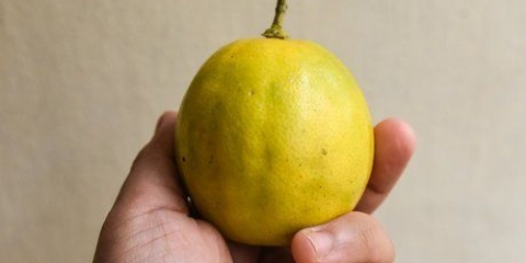 Limões maduros