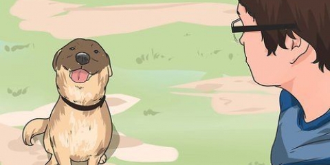 Comunique-se com seus animais de estimação