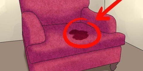 Removendo o cheiro de urina de gato ou cachorro de móveis estofados
