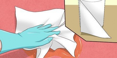 Removendo o cheiro de urina de gato
