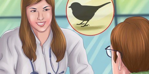 Cortando as asas de um pequeno pássaro