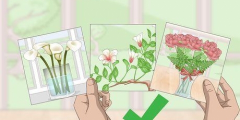 Organize três fotos em uma parede