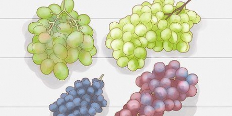 Cultivo de uvas a partir de sementes