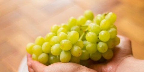 Mantendo as uvas frescas