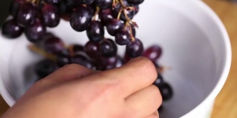 Fazendo suco de uva