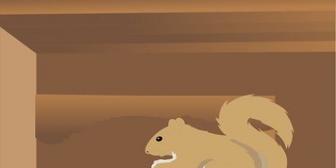 Mantenha os esquilos longe