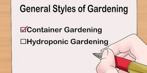 Projetando um jardim interno