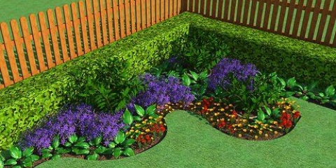 Crie um jardim de flores