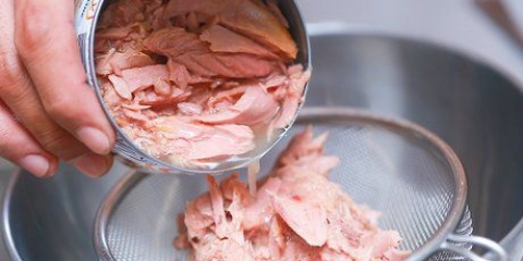 Fazendo um sanduíche de salada de atum