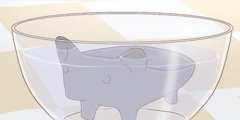 Fazendo um animal de estimação com sementes de chia