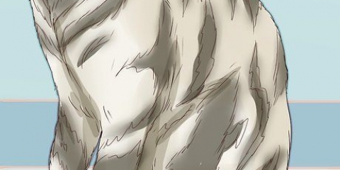 Reconhecendo um gato malhado