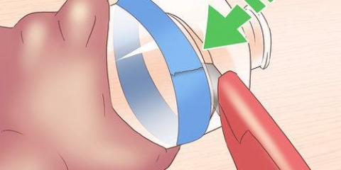 Criando um ecossistema em uma garrafa