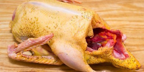Grelhar um pato