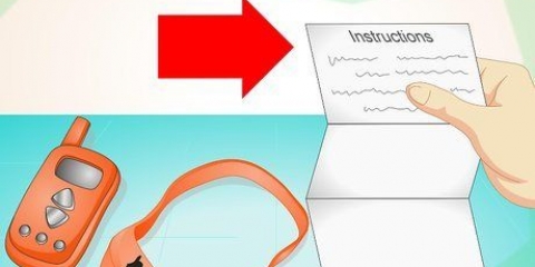 Usando um colar de treinamento eletrônico