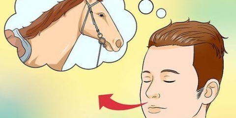 Acalmando um cavalo assustado