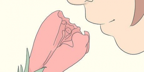 Descrevendo um perfume