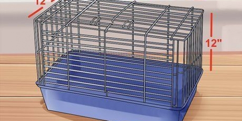 Escolhendo uma boa gaiola para hamster