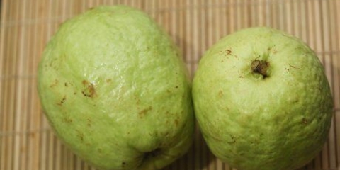 Comer uma goiaba