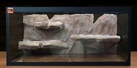 Fazendo um habitat para uma lagartixa-leopardo