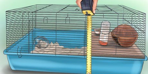 Montando uma gaiola de hamster