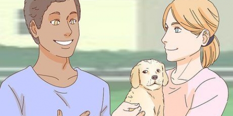Acariciando um cachorro