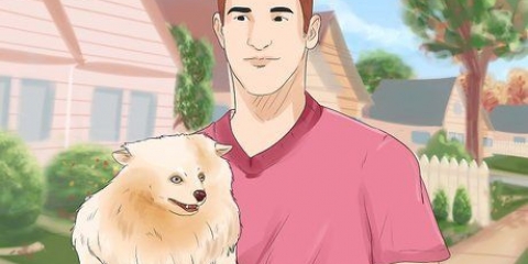 Dando um novo nome a um cachorro
