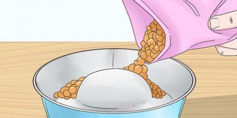Como fazer um cachorro parar de comer muito rápido