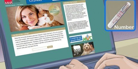 Rastrear um animal de estimação com um chip