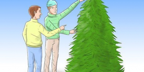 Cuidar de uma árvore de natal