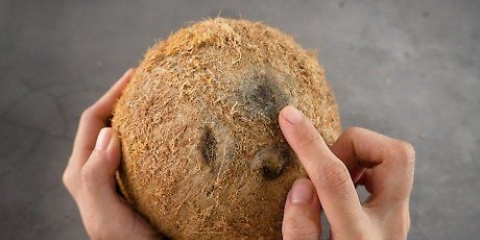Esvazie um coco