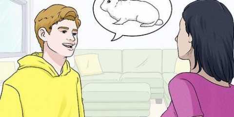 Mantendo um coelho em um apartamento