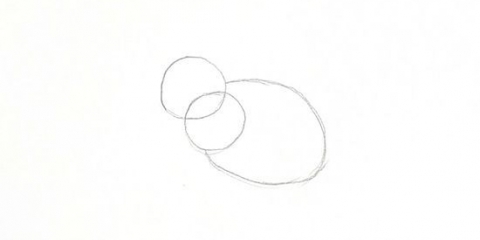 Desenhando um coelho
