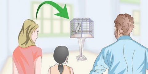 Escolhendo uma gaiola para uma cacatua
