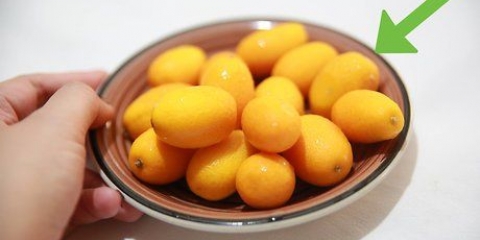 Comer um kumquat
