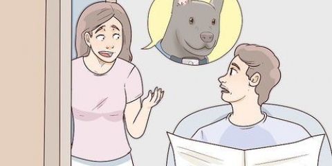 Encontrando um cachorro perdido
