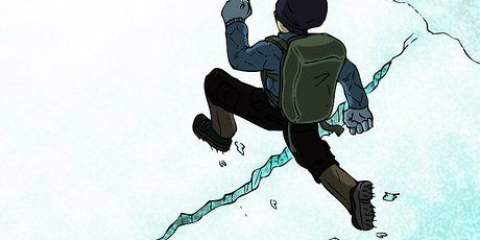 Sobrevivendo a uma avalanche