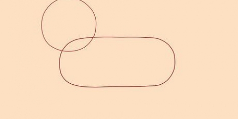 Desenhando um leão