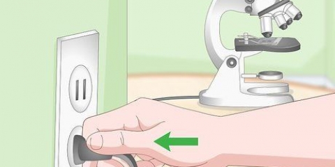 Usando um microscópio de luz