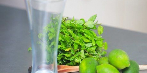 Fazendo um mojito