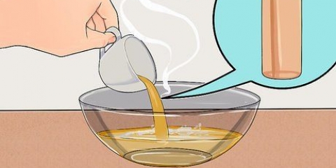 Faça um remédio natural para pulgas e carrapatos com vinagre de maçã