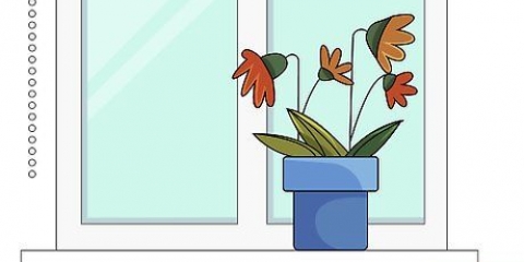 Salvando uma planta excessivamente fertilizada