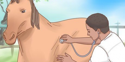 Faça um cavalo chegar