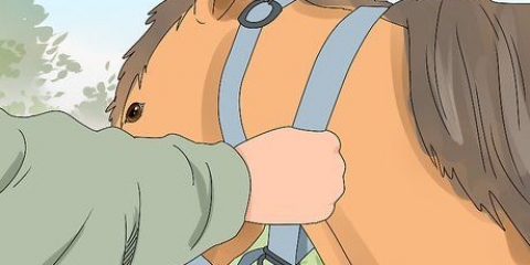 Montando um cavalo