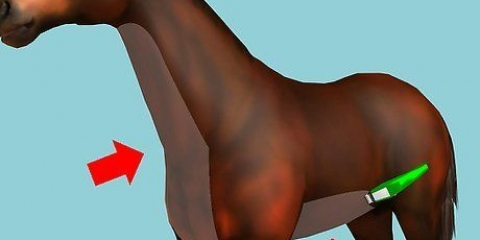 Barbear um cavalo