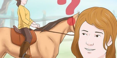 Treinando um cavalo