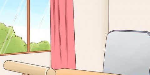 Treinando um papagaio