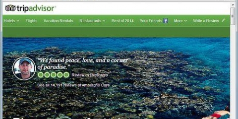 Escreva uma avaliação no tripadvisor
